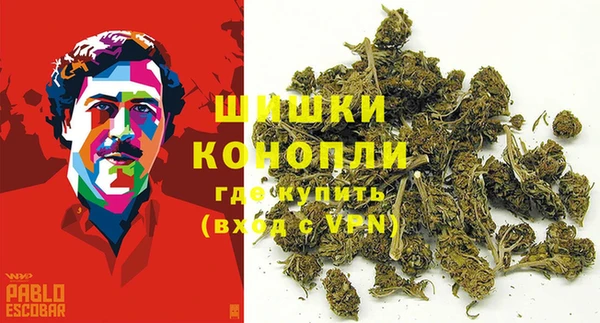 бошки Новозыбков