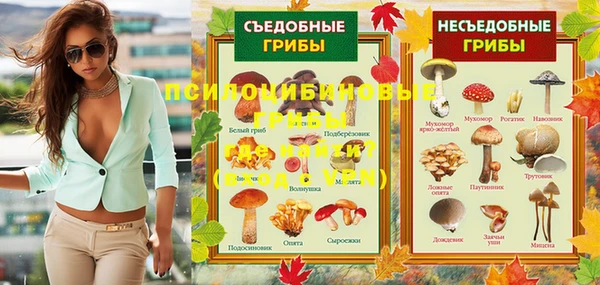 ПСИЛОЦИБИНОВЫЕ ГРИБЫ Алзамай