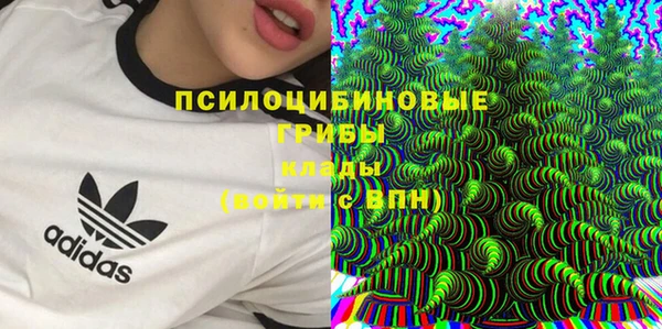 ПСИЛОЦИБИНОВЫЕ ГРИБЫ Алзамай