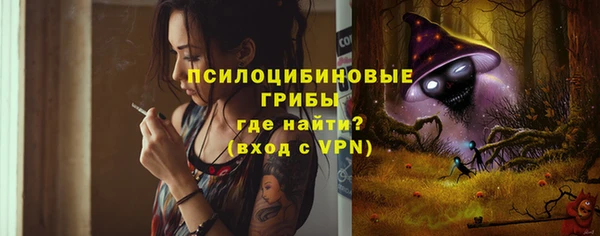 эйфоретик Новодвинск