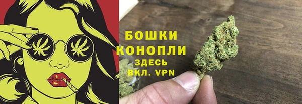 ПСИЛОЦИБИНОВЫЕ ГРИБЫ Алзамай