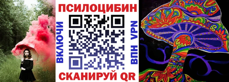 наркотики  Североуральск  Псилоцибиновые грибы Psilocybine cubensis 